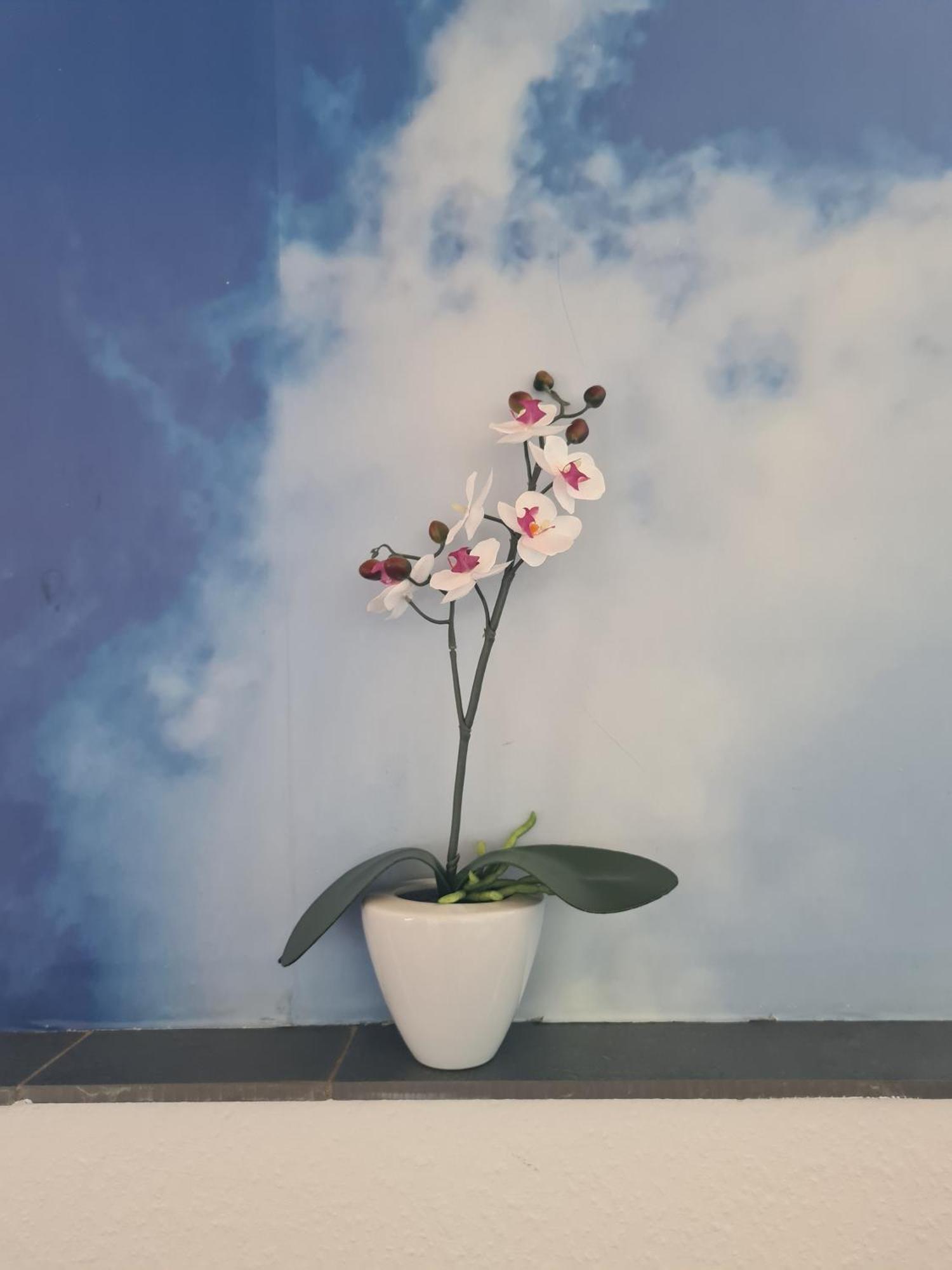 Ferienwohnung Pflueger Mit Terrasse เลาดา-เคอนิกส์โฮเฟน ภายนอก รูปภาพ